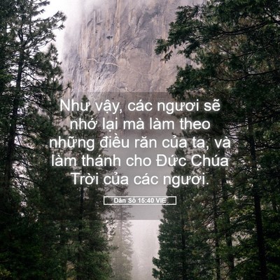 Picture 05 - Dân Số 15:40 VIE - Như vậy, các ngươi sẽ nhớ lại mà - Bible Verse Picture