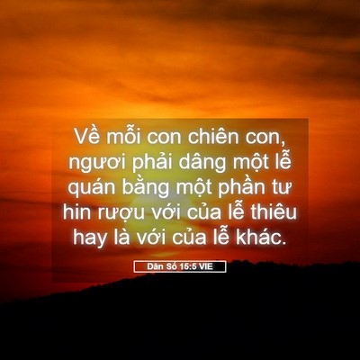 Picture 05 - Dân Số 15:5 VIE - Về mỗi con chiên con, ngươi phải dâng - Bible Verse Picture