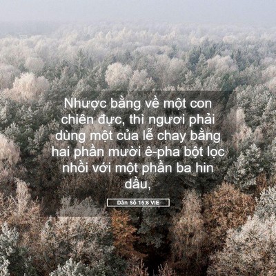 Picture 05 - Dân Số 15:6 VIE - Nhược bằng về một con chiên đực, - Bible Verse Picture