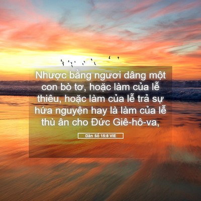 Picture 05 - Dân Số 15:8 VIE - Nhược bằng ngươi dâng một con bò tơ, - Bible Verse Picture