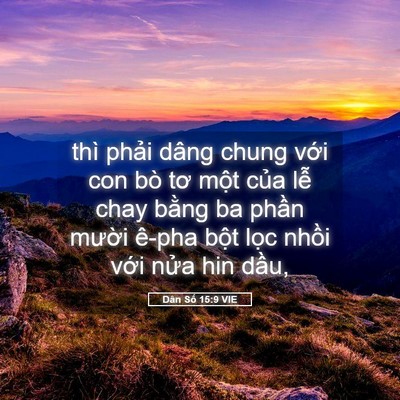 Picture 05 - Dân Số 15:9 VIE - thì phải dâng chung với con bò tơ một - Bible Verse Picture