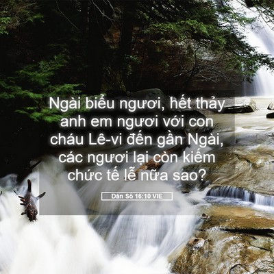 Picture 05 - Dân Số 16:10 VIE - Ngài biểu ngươi, hết thảy anh em ngươi - Bible Verse Picture