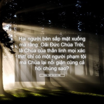 Picture 05 - Dân Số 16:22 VIE - Hai người bèn sấp mặt xuống mà rằng: - Bible Verse Picture
