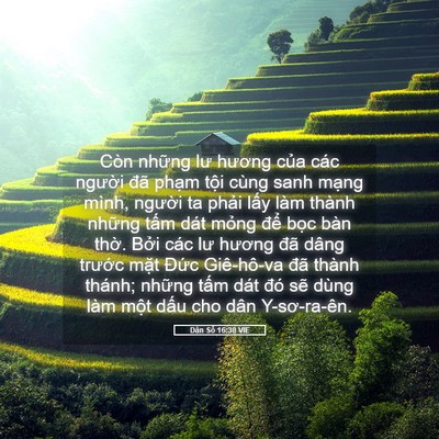 Picture 05 - Dân Số 16:38 VIE - Còn những lư hương của các người đã - Bible Verse Picture