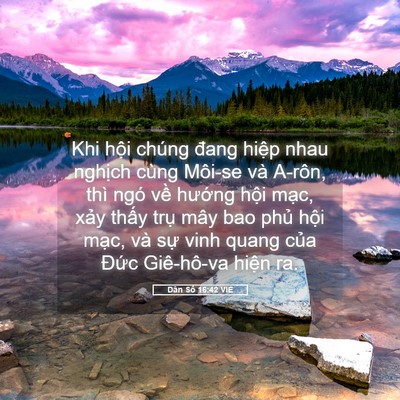 Picture 05 - Dân Số 16:42 VIE - Khi hội chúng đang hiệp nhau nghịch cùng - Bible Verse Picture