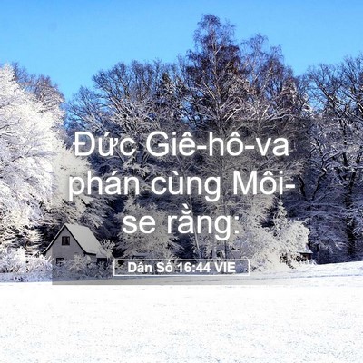 Picture 05 - Dân Số 16:44 VIE - Đức Giê-hô-va phán cùng Môi-se - Bible Verse Picture
