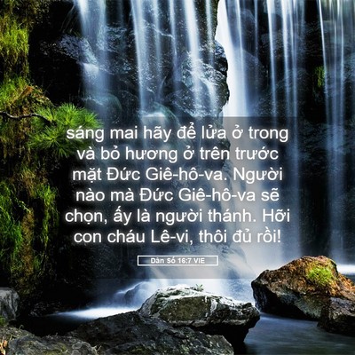 Picture 05 - Dân Số 16:7 VIE - sáng mai hãy để lửa ở trong và bỏ - Bible Verse Picture