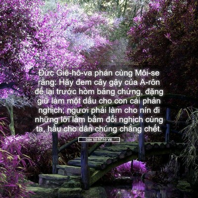 Picture 05 - Dân Số 17:10 VIE - Đức Giê-hô-va phán cùng Môi-se rằng: - Bible Verse Picture