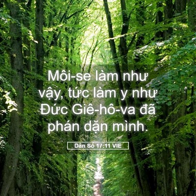 Picture 05 - Dân Số 17:11 VIE - Môi-se làm như vậy, tức làm y như Đức - Bible Verse Picture