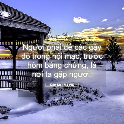 Picture 05 - Dân Số 17:4 VIE - Ngươi phải để các gậy đó trong hội - Bible Verse Picture