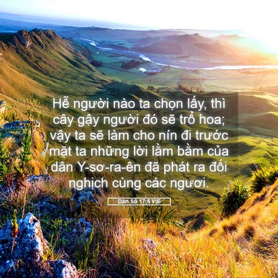 Picture 05 - Dân Số 17:5 VIE - Hễ người nào ta chọn lấy, thì cây - Bible Verse Picture