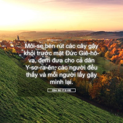 Picture 05 - Dân Số 17:9 VIE - Môi-se bèn rút các cây gậy khỏi trước - Bible Verse Picture