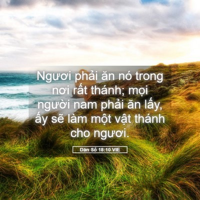 Picture 05 - Dân Số 18:10 VIE - Ngươi phải ăn nó trong nơi rất thánh; - Bible Verse Picture