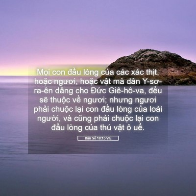 Picture 05 - Dân Số 18:15 VIE - Mọi con đầu lòng của các xác thịt, - Bible Verse Picture