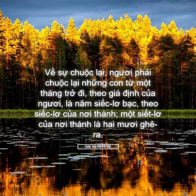 Picture 05 - Dân Số 18:16 VIE - Về sự chuộc lại, ngươi phải chuộc - Bible Verse Picture