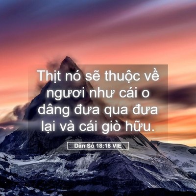 Picture 05 - Dân Số 18:18 VIE - Thịt nó sẽ thuộc về ngươi như cái o - Bible Verse Picture