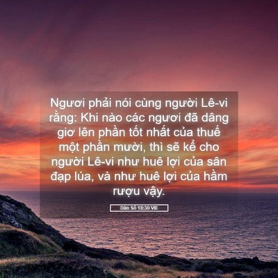 Picture 05 - Dân Số 18:30 VIE - Ngươi phải nói cùng người Lê-vi rằng: - Bible Verse Picture