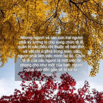 Picture 05 - Dân Số 18:7 VIE - Nhưng ngươi và các con trai ngươi phải - Bible Verse Picture