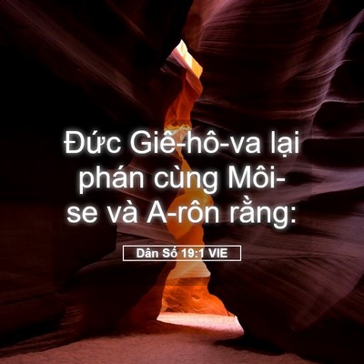 Picture 05 - Dân Số 19:1 VIE - Đức Giê-hô-va lại phán cùng Môi-se và - Bible Verse Picture