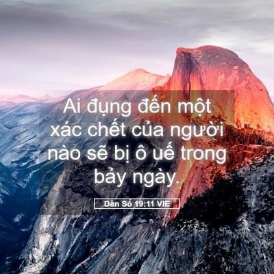 Picture 05 - Dân Số 19:11 VIE - Ai đụng đến một xác chết của - Bible Verse Picture