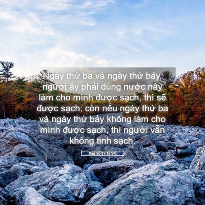 Picture 05 - Dân Số 19:12 VIE - Ngày thứ ba và ngày thứ bảy, người - Bible Verse Picture