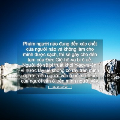 Picture 05 - Dân Số 19:13 VIE - Phàm người nào đụng đến xác chết - Bible Verse Picture