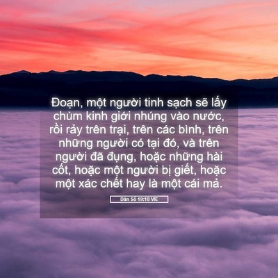 Picture 05 - Dân Số 19:18 VIE - Đoạn, một người tinh sạch sẽ lấy - Bible Verse Picture
