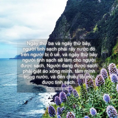 Picture 05 - Dân Số 19:19 VIE - Ngày thứ ba và ngày thứ bảy, người - Bible Verse Picture