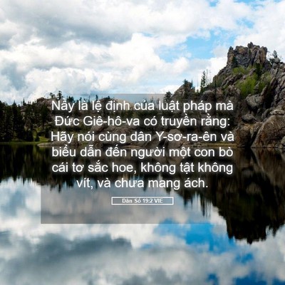 Picture 05 - Dân Số 19:2 VIE - Nầy là lệ định của luật pháp mà - Bible Verse Picture