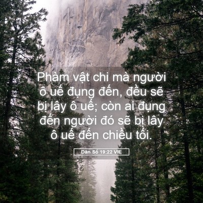 Picture 05 - Dân Số 19:22 VIE - Phàm vật chi mà người ô uế đụng - Bible Verse Picture
