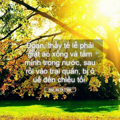 Picture 05 - Dân Số 19:7 VIE - Đoạn, thầy tế lễ phải giặt áo - Bible Verse Picture