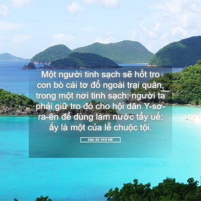 Picture 05 - Dân Số 19:9 VIE - Một người tinh sạch sẽ hốt tro con bò - Bible Verse Picture