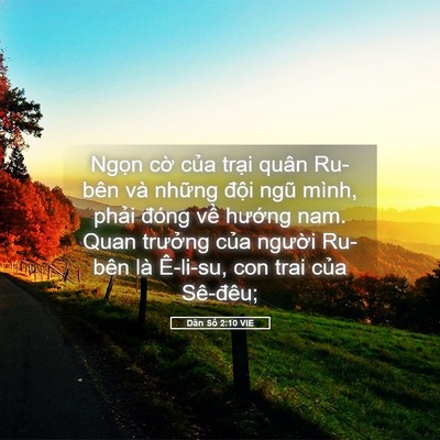 Picture 05 - Dân Số 2:10 VIE - Ngọn cờ của trại quân Ru-bên và - Bible Verse Picture