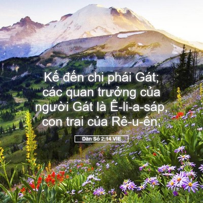 Picture 05 - Dân Số 2:14 VIE - Kế đến chi phái Gát; các quan trưởng - Bible Verse Picture