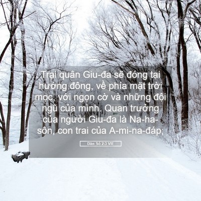 Picture 05 - Dân Số 2:3 VIE - Trại quân Giu-đa sẽ đóng tại hướng - Bible Verse Picture