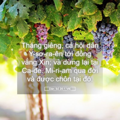 Picture 05 - Dân Số 20:1 VIE - Tháng giêng, cả hội dân Y-sơ-ra-ên tới - Bible Verse Picture