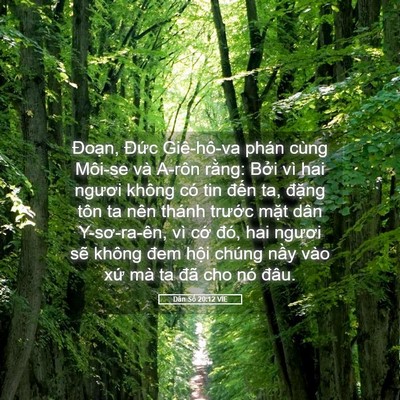 Picture 05 - Dân Số 20:12 VIE - Đoạn, Đức Giê-hô-va phán cùng Môi-se - Bible Verse Picture