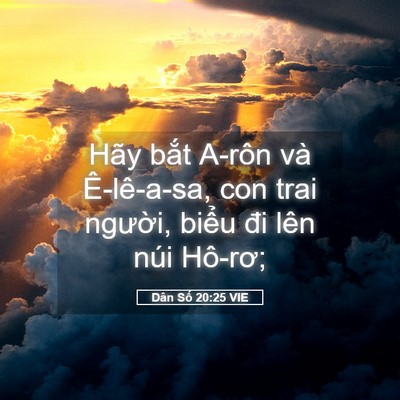 Picture 05 - Dân Số 20:25 VIE - Hãy bắt A-rôn và Ê-lê-a-sa, con trai - Bible Verse Picture