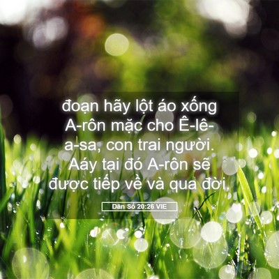 Picture 05 - Dân Số 20:26 VIE - đoạn hãy lột áo xống A-rôn mặc cho - Bible Verse Picture
