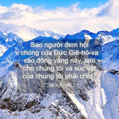 Picture 05 - Dân Số 20:4 VIE - Sao người đem hội chúng của Đức - Bible Verse Picture