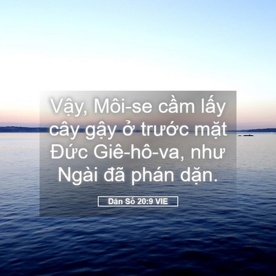 Picture 05 - Dân Số 20:9 VIE - Vậy, Môi-se cầm lấy cây gậy ở - Bible Verse Picture