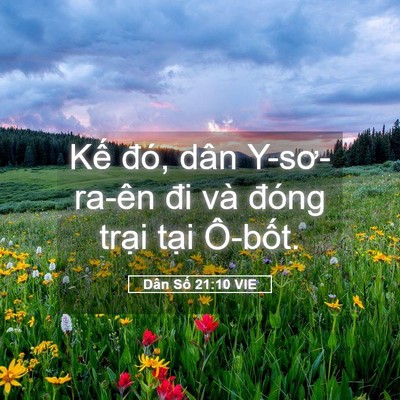 Picture 05 - Dân Số 21:10 VIE - Kế đó, dân Y-sơ-ra-ên đi và đóng - Bible Verse Picture