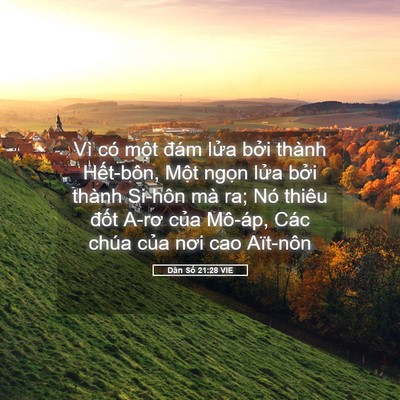 Picture 05 - Dân Số 21:28 VIE - Vì có một đám lửa bởi thành - Bible Verse Picture
