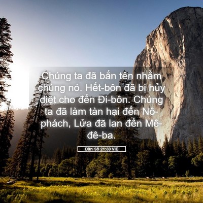 Picture 05 - Dân Số 21:30 VIE - Chúng ta đã bắn tên nhằm chúng nó. - Bible Verse Picture
