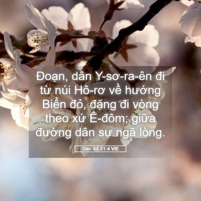 Picture 05 - Dân Số 21:4 VIE - Đoạn, dân Y-sơ-ra-ên đi từ núi Hô-rơ - Bible Verse Picture