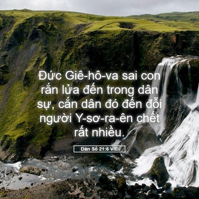 Picture 05 - Dân Số 21:6 VIE - Đức Giê-hô-va sai con rắn lửa đến - Bible Verse Picture