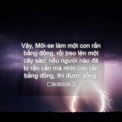 Picture 05 - Dân Số 21:9 VIE - Vậy, Môi-se làm một con rắn bằng - Bible Verse Picture