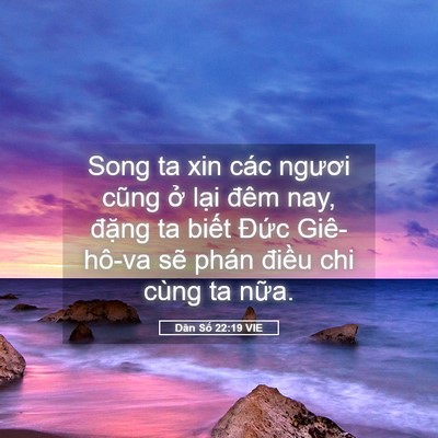 Picture 05 - Dân Số 22:19 VIE - Song ta xin các ngươi cũng ở lại đêm - Bible Verse Picture