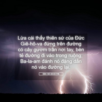 Picture 05 - Dân Số 22:23 VIE - Lừa cái thấy thiên sứ của Đức - Bible Verse Picture