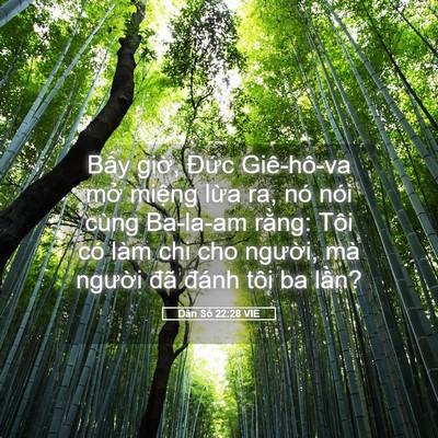 Picture 05 - Dân Số 22:28 VIE - Bấy giờ, Đức Giê-hô-va mở miệng - Bible Verse Picture